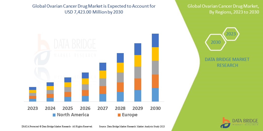 The Role of Immunotherapy in Treating Ovarian Cancer: A Promising Frontier in Cancer Care